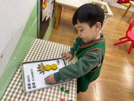 學習區好好玩:六形六色-鳳梨